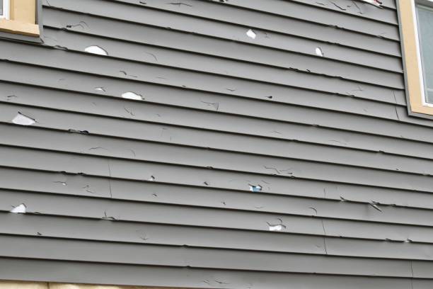 Best Storm Damage Siding Repair  in Three Rivers, TX